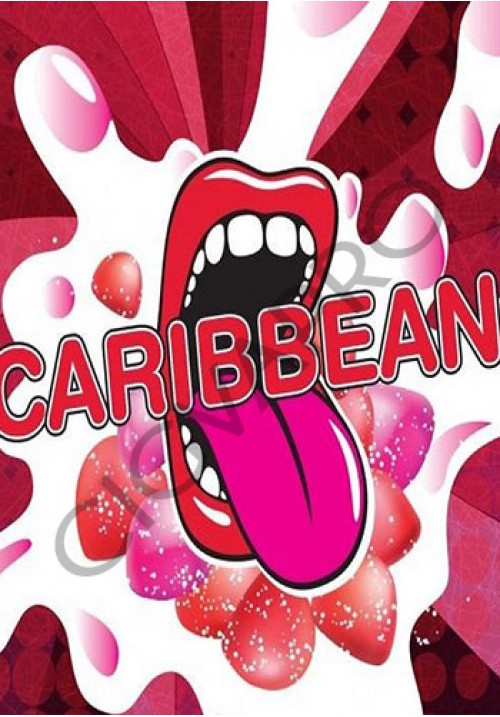Concentré CARIBBEAN - classic big mouth